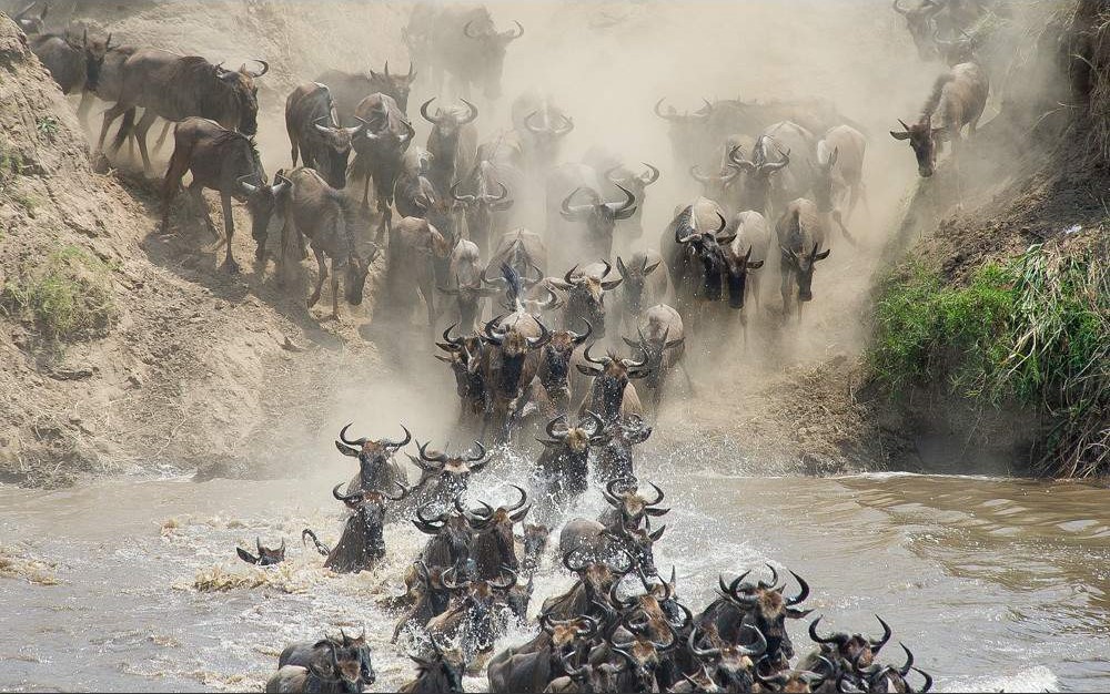 3 Days 2 Nights Maasai Mara Safari