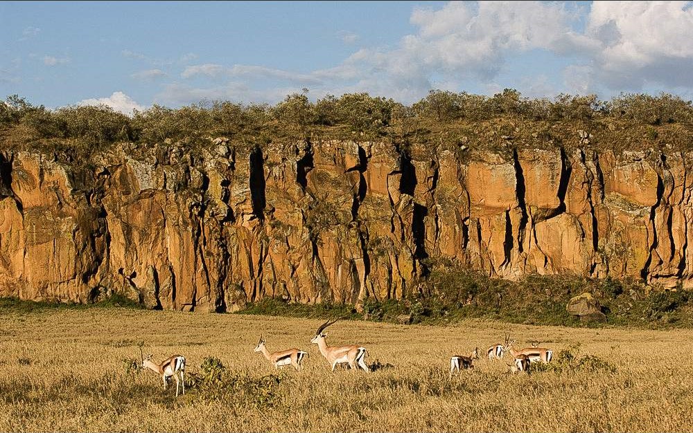 Day trips from Nairobi Kenya – Nairobi National Park, Hell’s Gate &